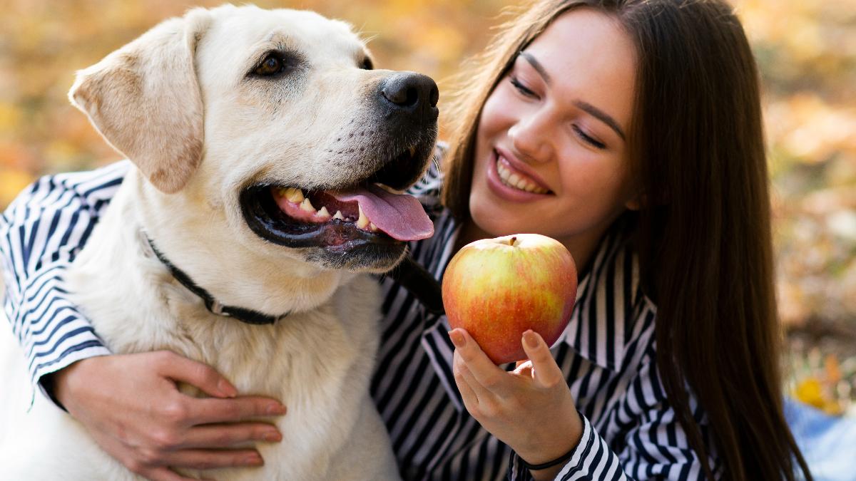 The Gut Connection: New Research Reveals Human-Dog Bond is More Than Affection