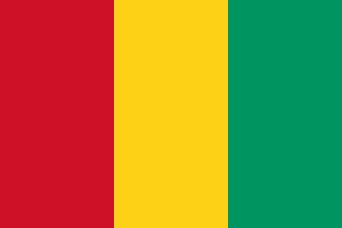 Guinea Prepares for Constitutional Referendum Amidst Political Tensions