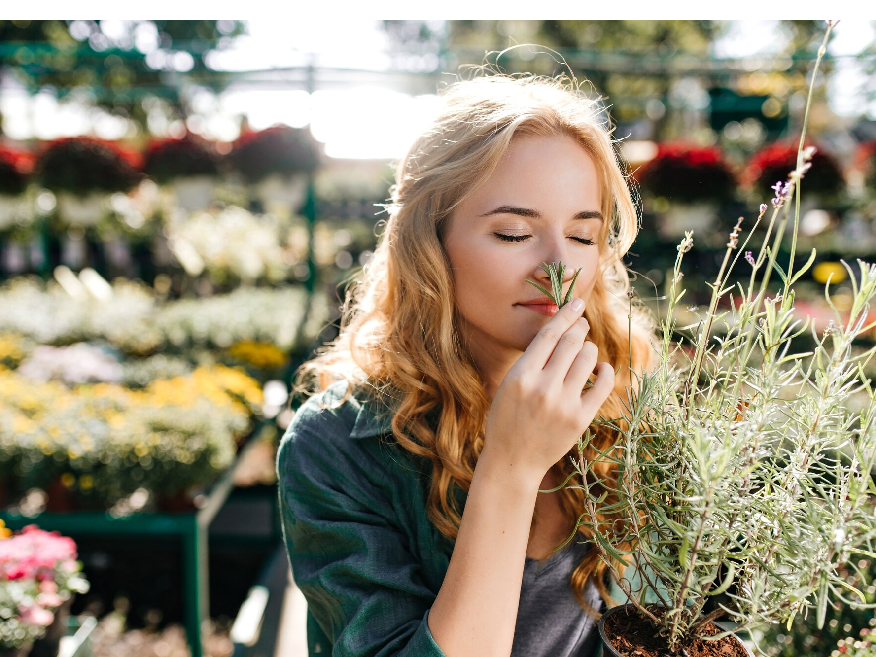 Descubrimiento: La actividad cerebral temprana en la banda theta codifica las propiedades objetivas de los olores