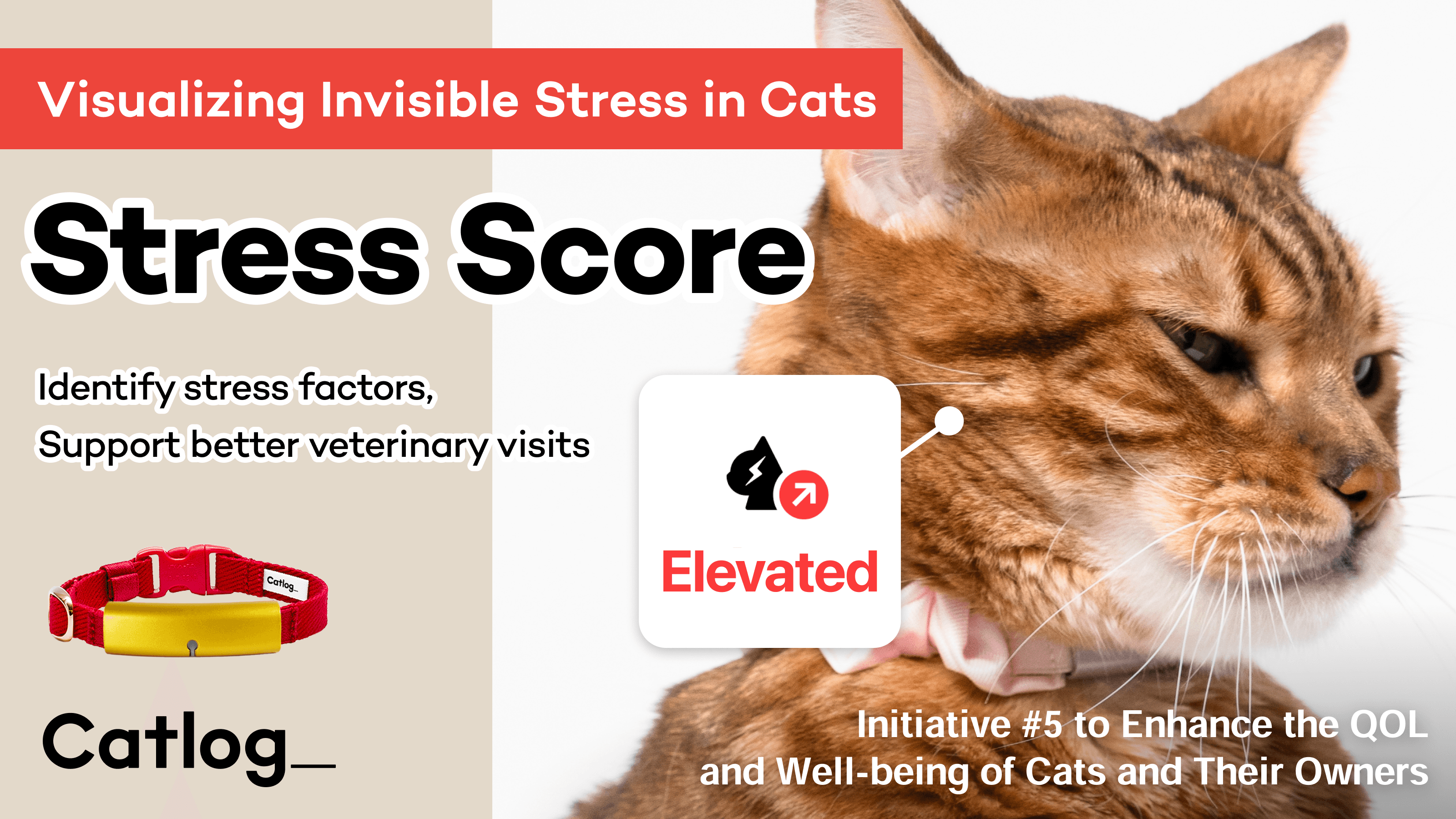 Japanese Firm Rabo Integrates AI-Powered Stress Assessment into Catlog Collar