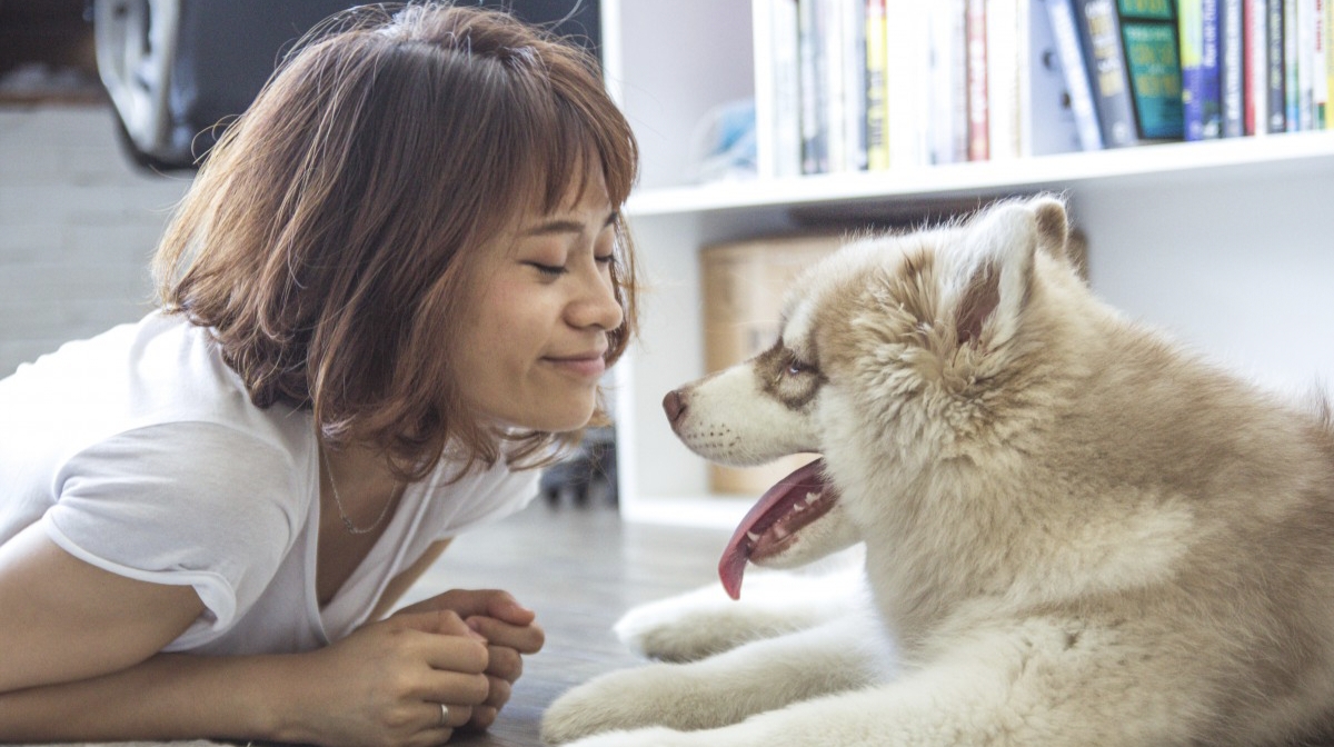 Dogs' Remarkable Emotional Sensitivity: A Scientific Exploration