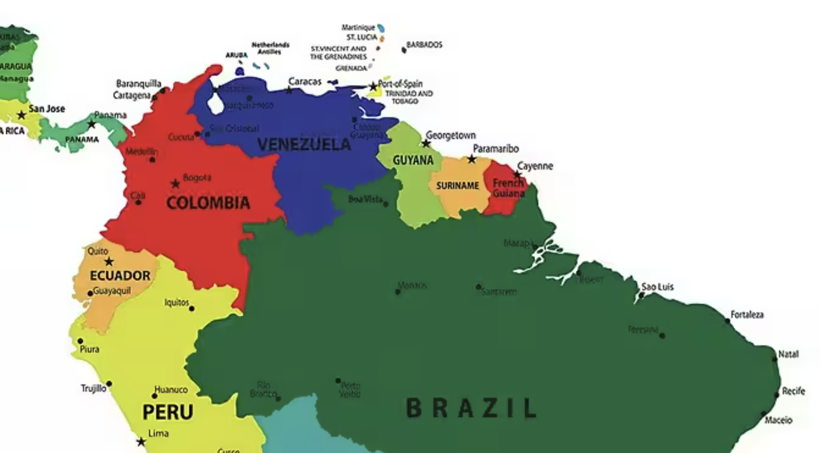 Colombian Agriculture Thrives: Record Coffee Harvest and Surging Flower Exports in 2025