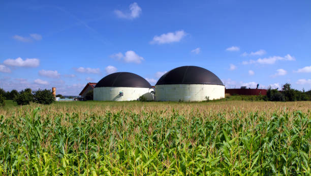 Biomethane's Role in the UK's Sustainable Energy Transition