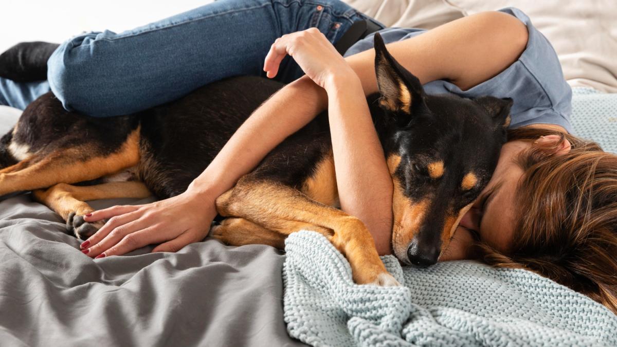 Portrait psychologique : ce que le sommeil partagé avec un animal révèle sur la personnalité de son maître