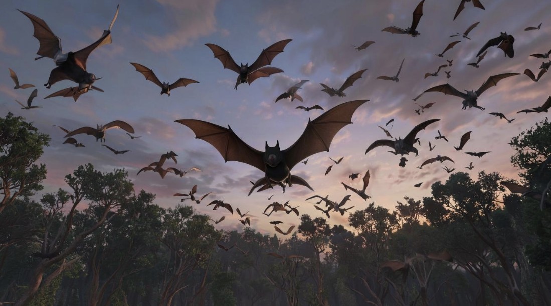 Massachusetts biologists intensify monitoring of bat hibernation sanctuaries amid climate and disease threats