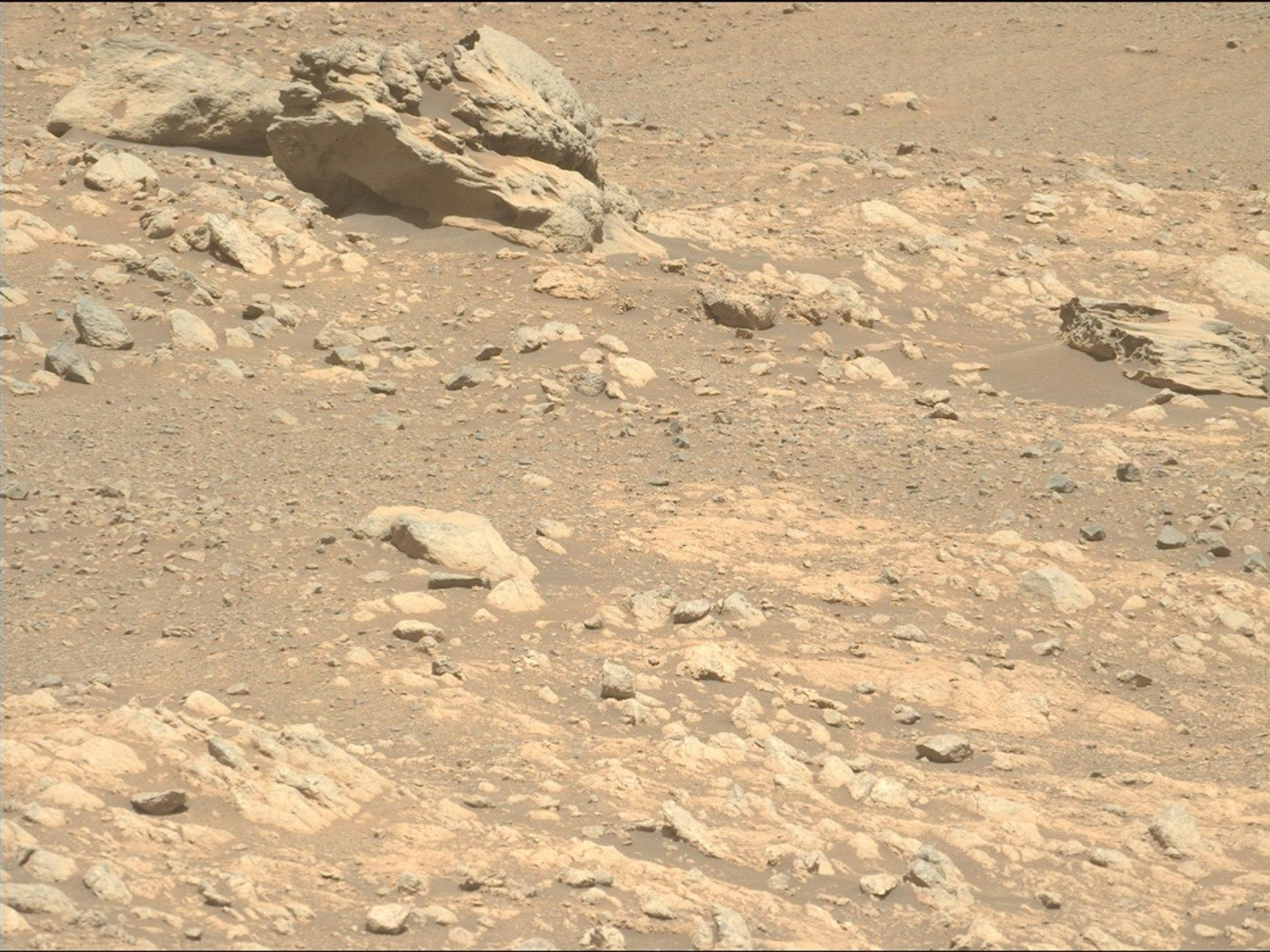 NASA's Perseverance Rover Spots Potential Iron-Nickel Meteorite "Phippsaxla" in Jezero Crater