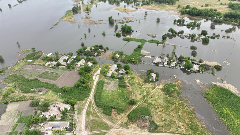 Unexpected Flora Rebound at Kakhovka Reservoir Site Amidst Ongoing Ecological Risks