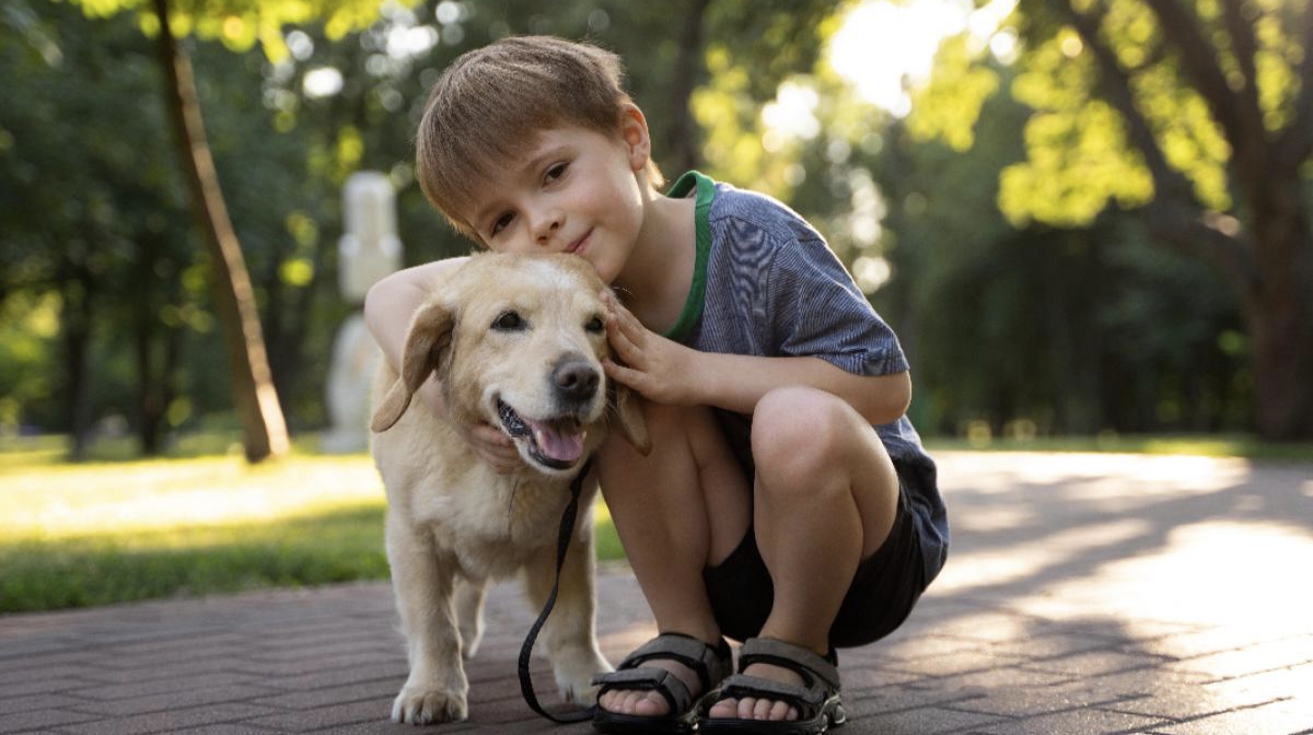 Mobility Assistance Dogs Significantly Boost Children's Physical Activity and Social Skills