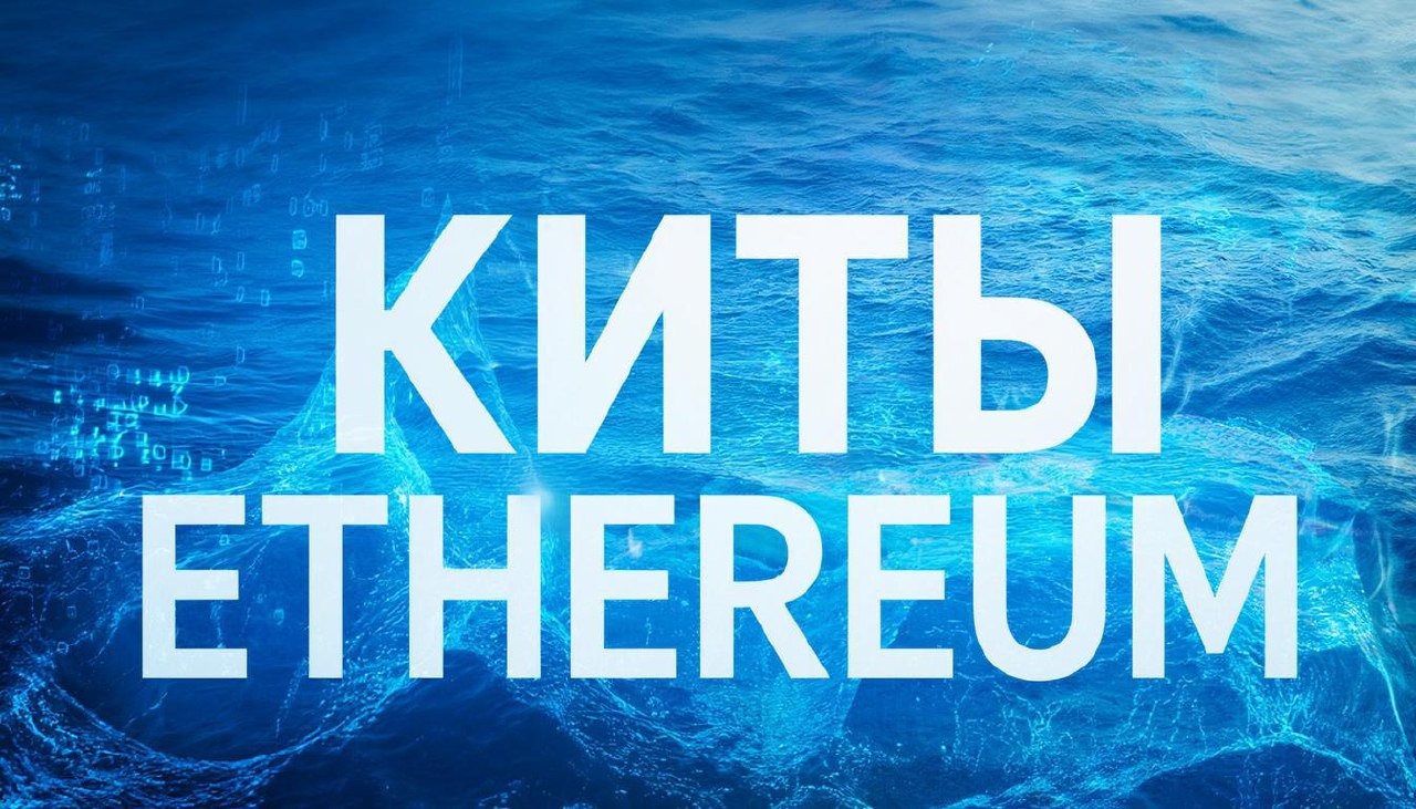 Ethereum Whales Accumulate Heavily Following November 2025 Market Correction