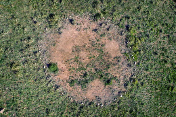Fairy Circles Illuminate Pathways to Natural Hydrogen Sources