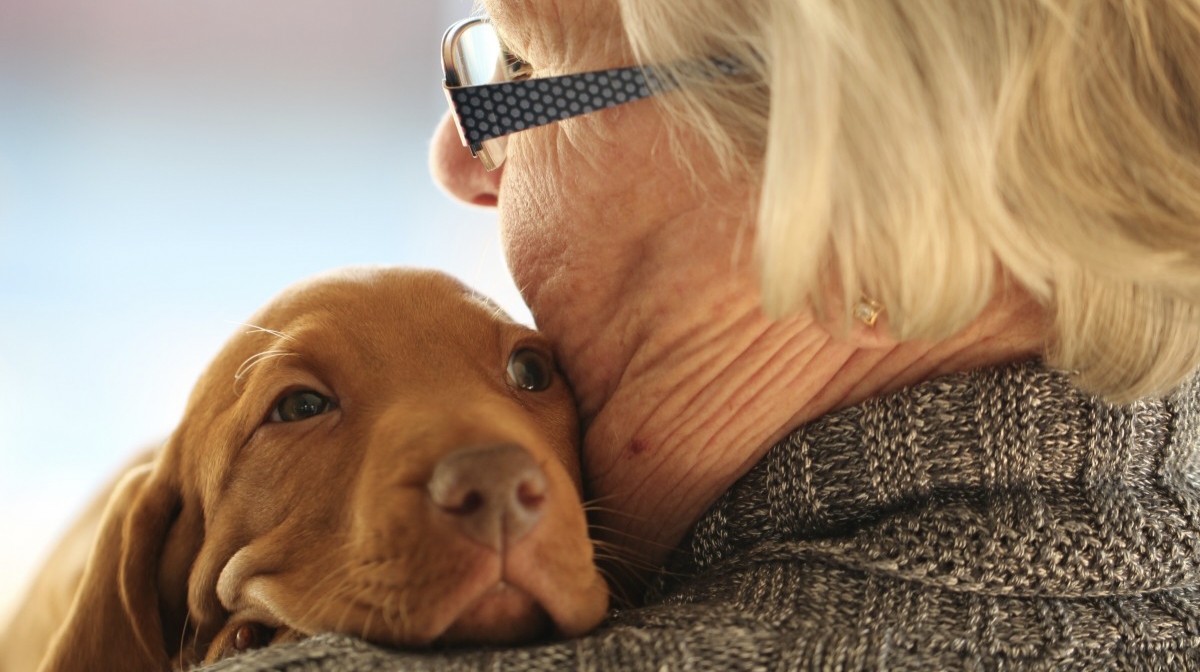 Dogs' Deep Bonds with "Grandparents" Rooted in Positive Reinforcement