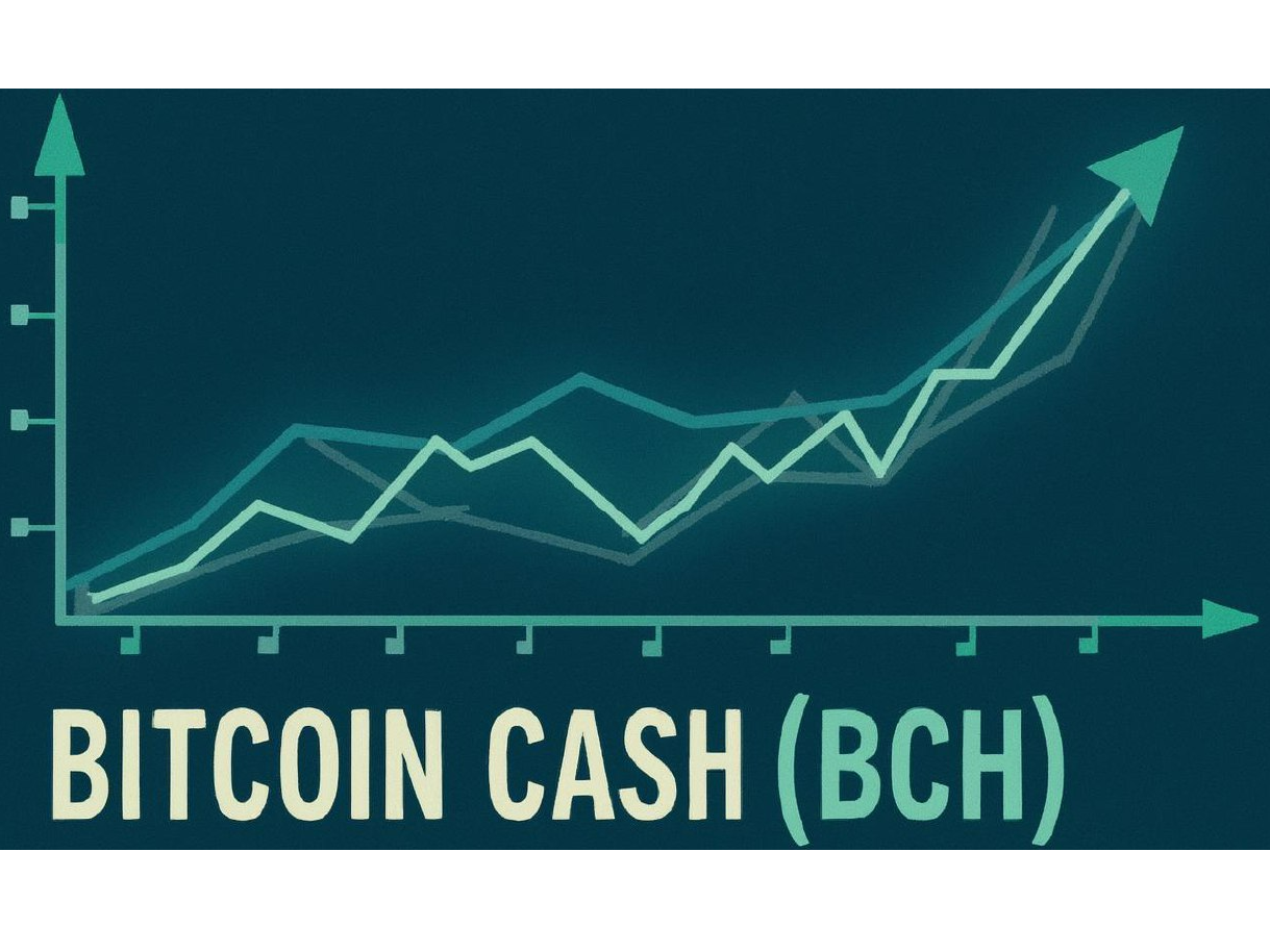 Bitcoin Cash Surges Past $530 Amid Massive Trading Volume Spike on November 12