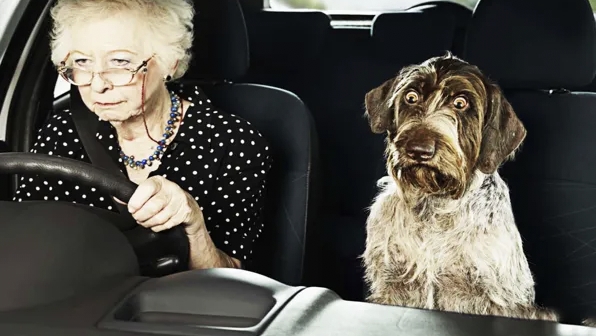 Companionship and Cognitive Health: How Pets Aid Seniors