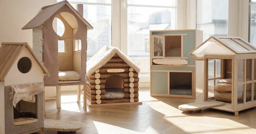 Wiskundeproject Scholieren Blackfoot Levert Opbrengst voor Dierenasiel