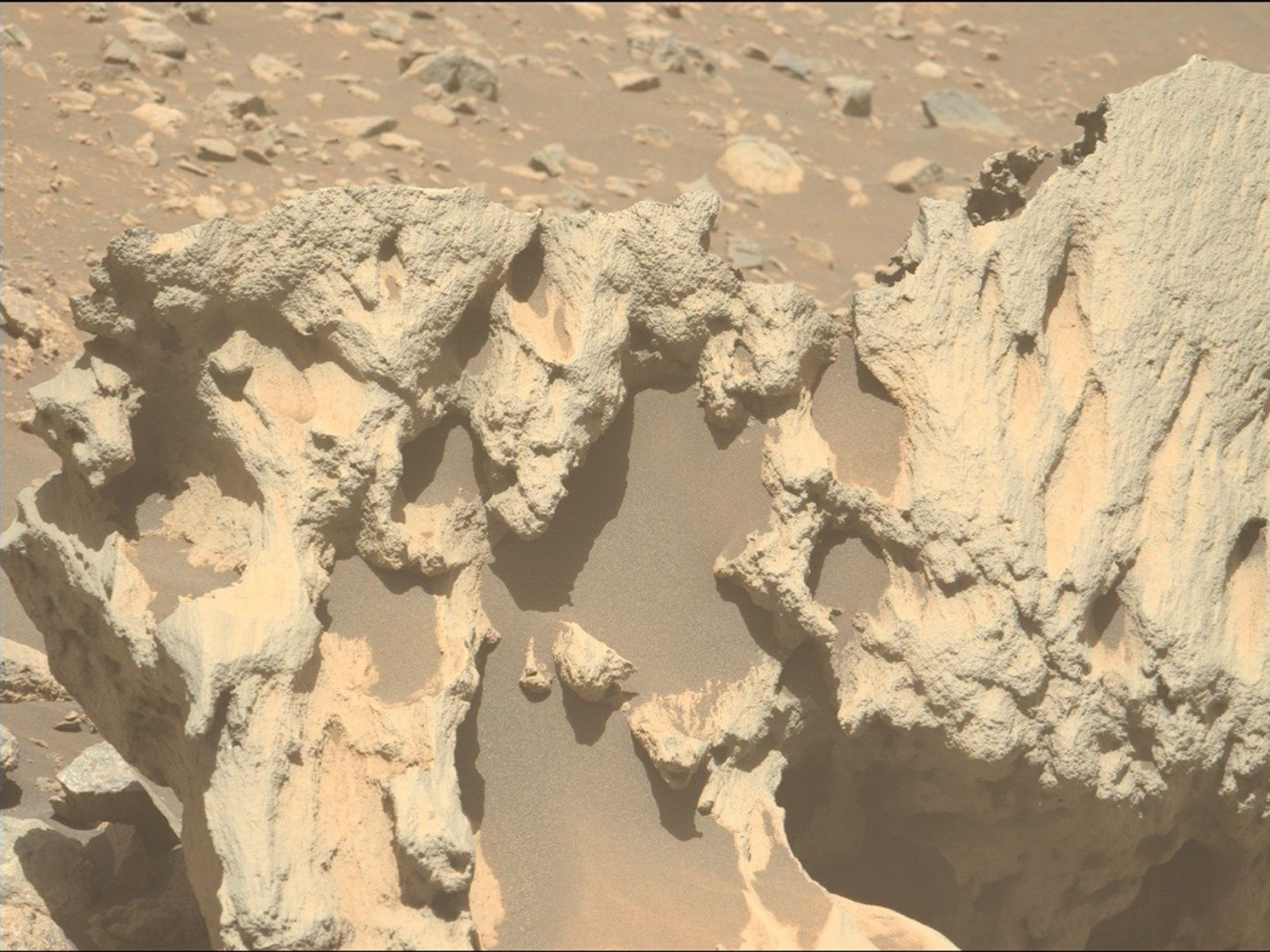 NASA's Perseverance Rover Spots Potential Iron-Nickel Meteorite "Phippsaxla" in Jezero Crater