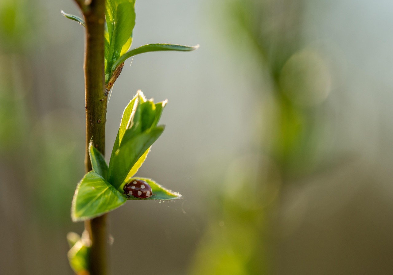 Policy Consistency is Key to Halving East Asia's Ozone Pollution by 2050, NTU Study Finds