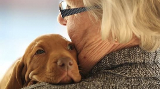 Harnessing the Healing Power of Pets: Non-Drug Strategies for Chronic Pain Management in Older Adults