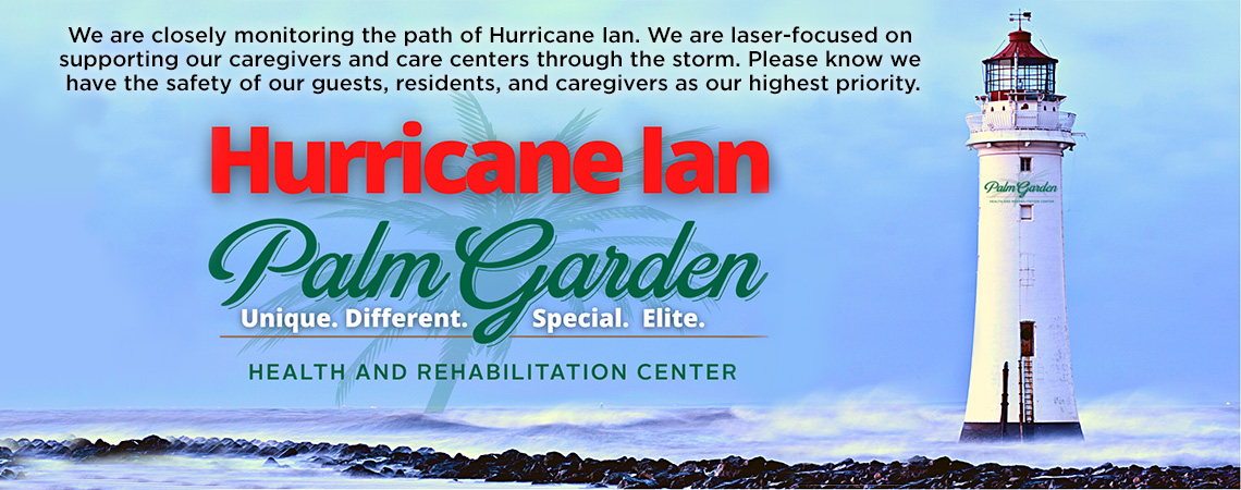 Home Palmgardenofclearwater