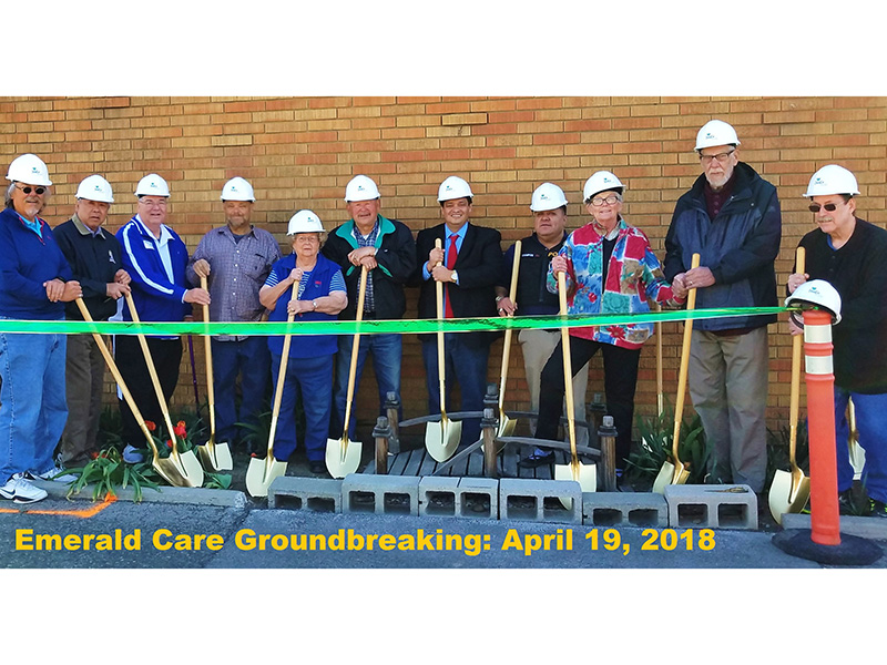 emeraldcare800×600ground12