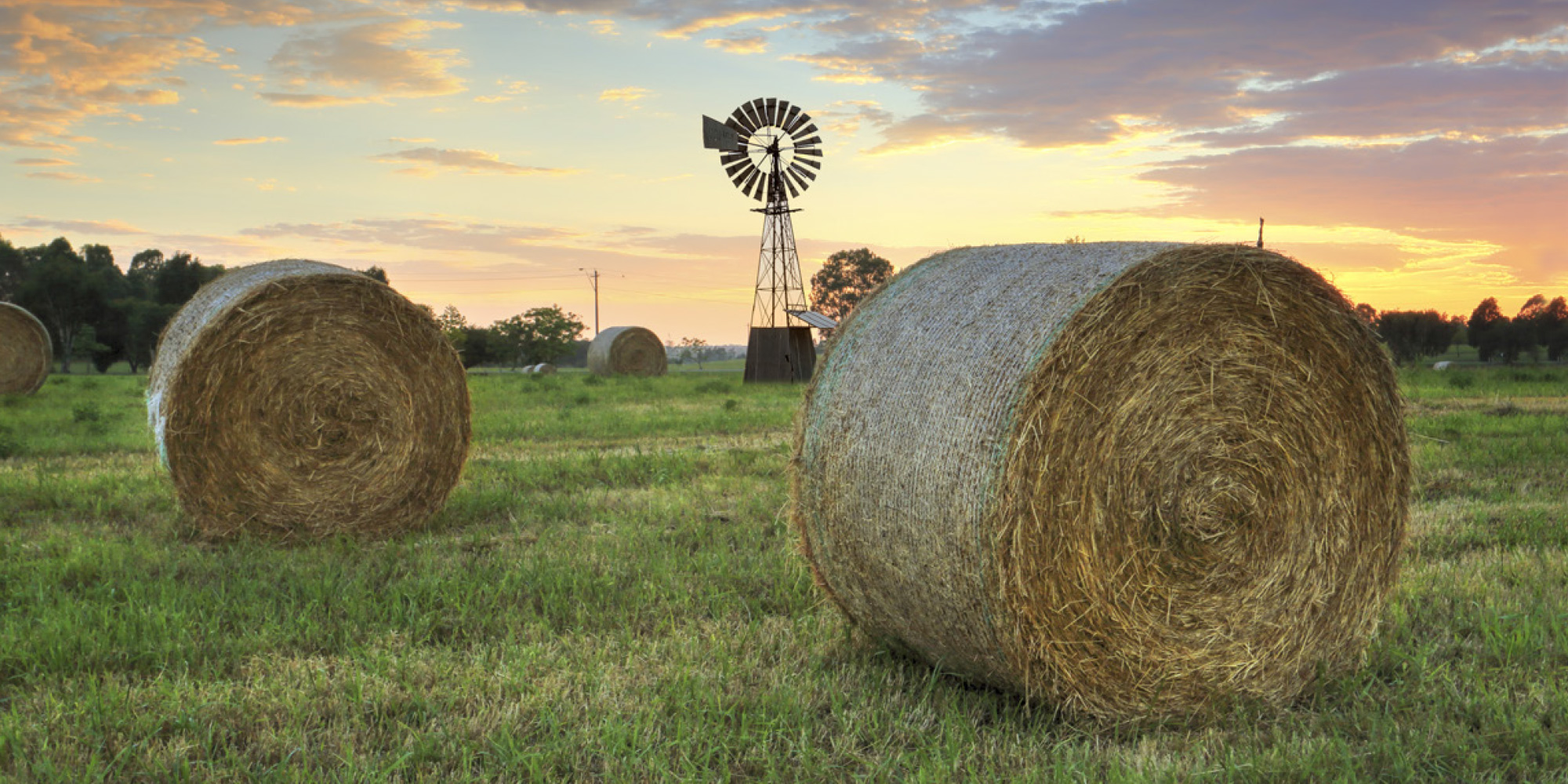 2018wibauxfield2000×1000 Wibaux County Nursing Home
