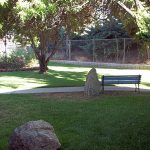 outdoor walking paths and bench under a shade tree at Banning Healthcare