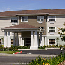 outside of a house on a sunny day with nice plants