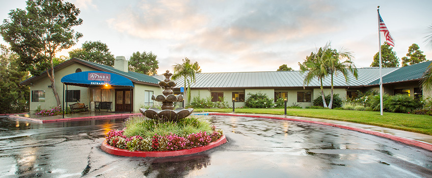 fountain with nice plants in the middle and an american flag in the background during a sunset