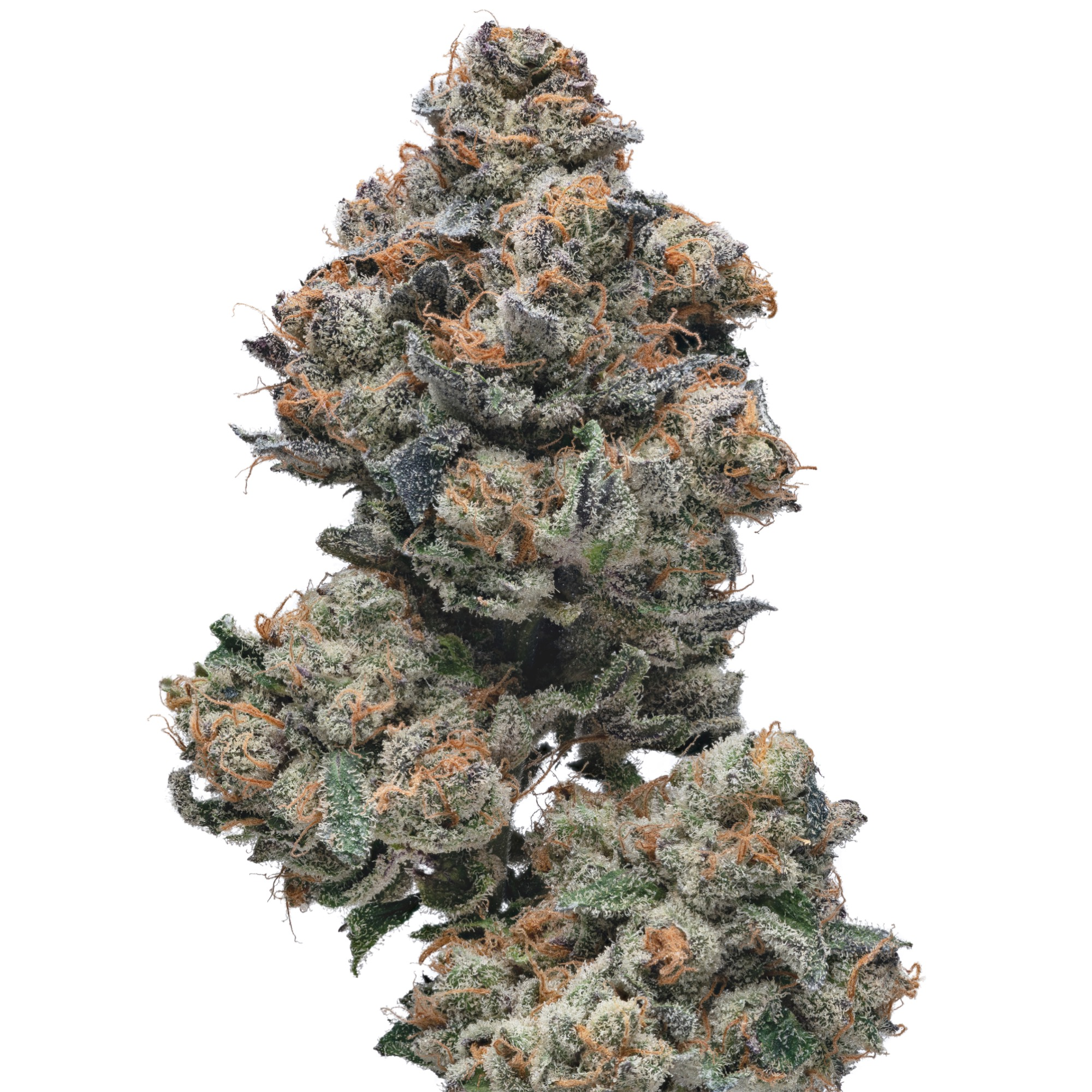 $10 - Tokyo - Melted Strawberries