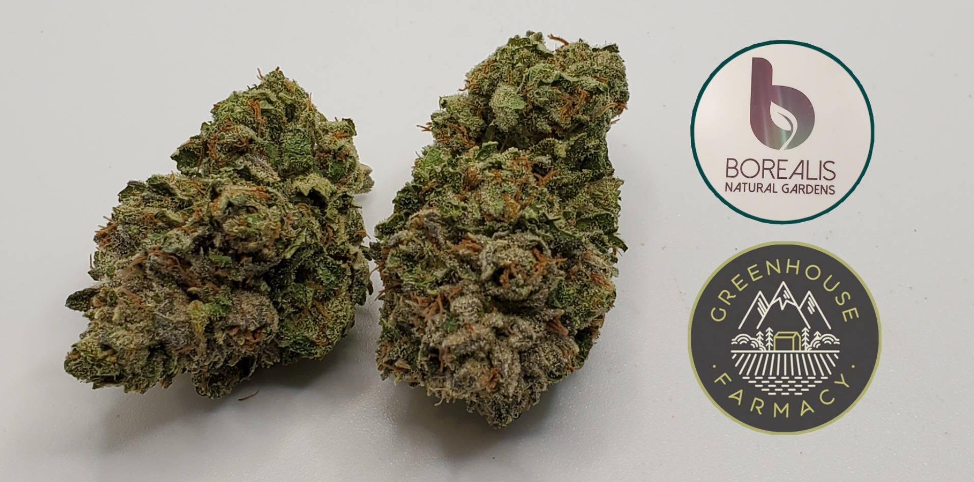 LA Pure Kush 3.5g Flower