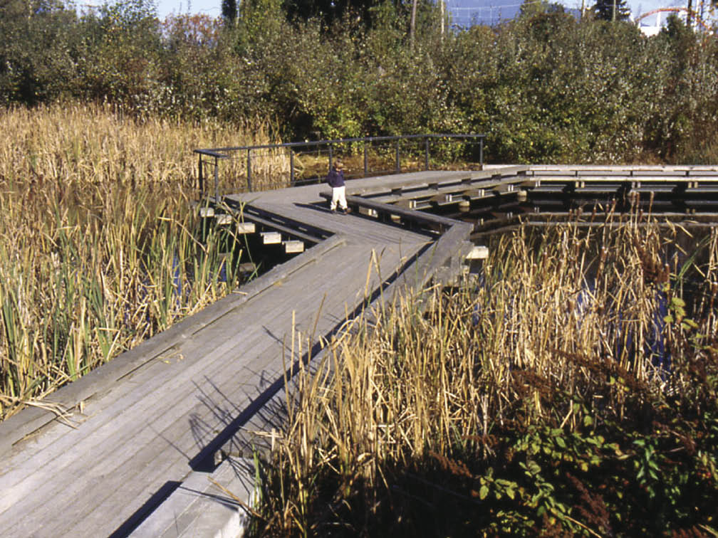 Green Building Audio Tours Hastings Park Restoration