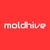 Moldhive