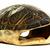 TurtleShell_1050x700.jpg