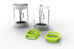 StaX Glasses Protect