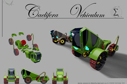 Caelifera Vehiculum