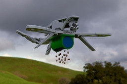 sower double drum type by Adriano Ordoz Barissa