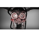 Haloween + Bike Light (+ optional smoke machine)!!!