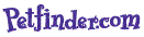 Our Petfinder Page