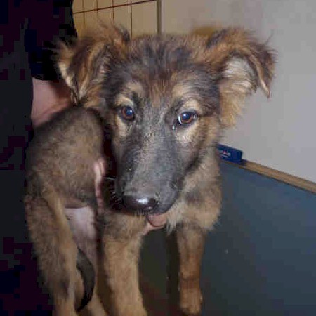 Diamond Shelter 8/30/12