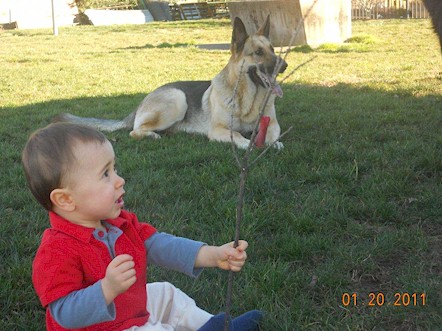 Jerry Lee & Alex