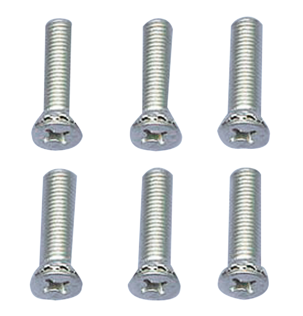 195557 Chevy Door Striker Plate Screw Set