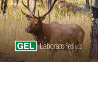 Image for GEL Laboratories Supports PFAS Exposure Research in Rocky Mountain Elk article