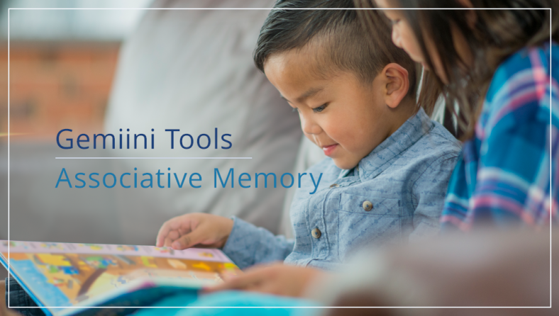 Gemiini's Associative Memory Tool