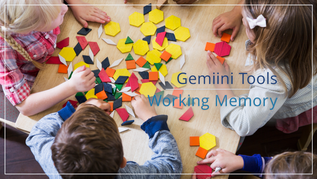 Gemiini's Working Memory Tool Gemiini Educational Systems