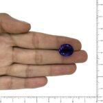 Image thumbnail