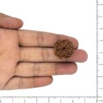 Image thumbnail