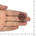 Image thumbnail