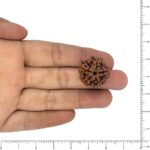 Image thumbnail