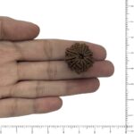 Image thumbnail
