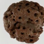Image thumbnail