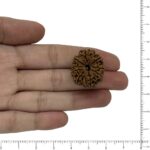 Image thumbnail